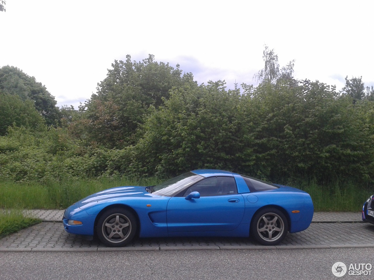 Chevrolet Corvette C5