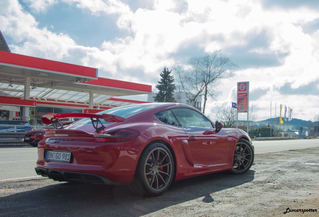 Porsche 981 Cayman GT4