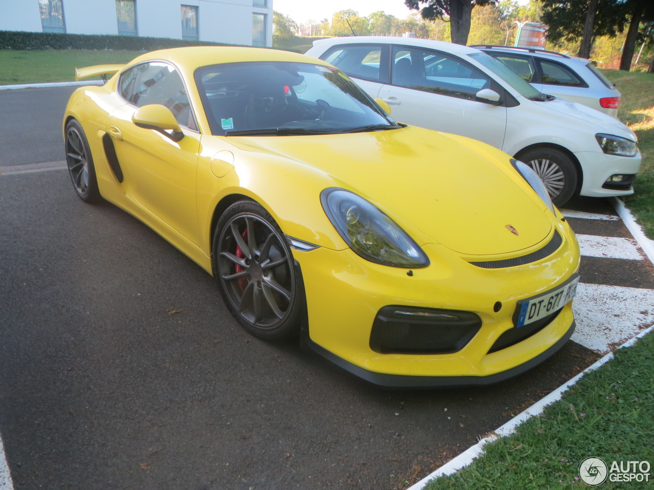 Porsche 981 Cayman GT4