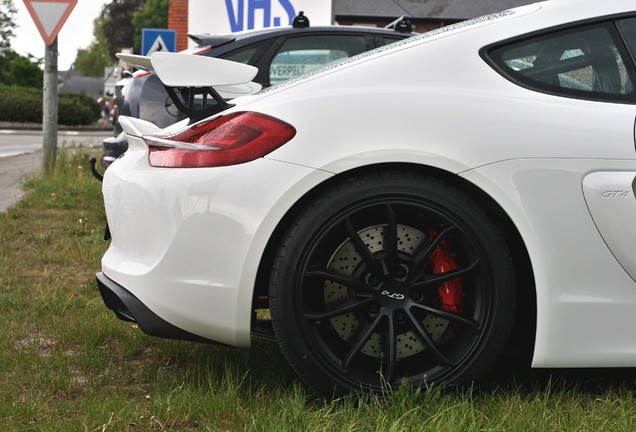 Porsche 981 Cayman GT4