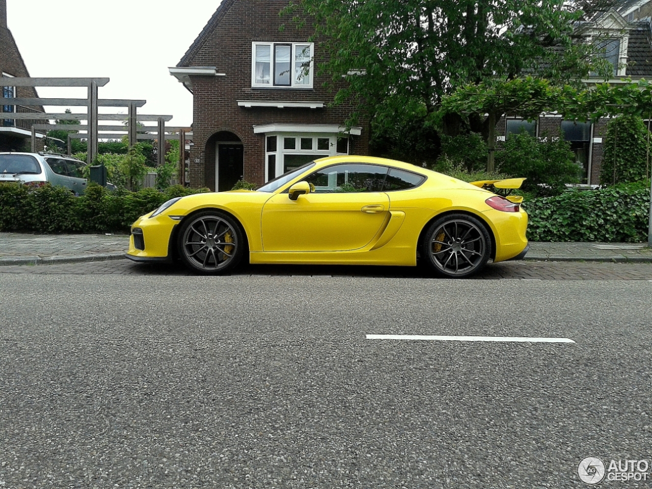 Porsche 981 Cayman GT4