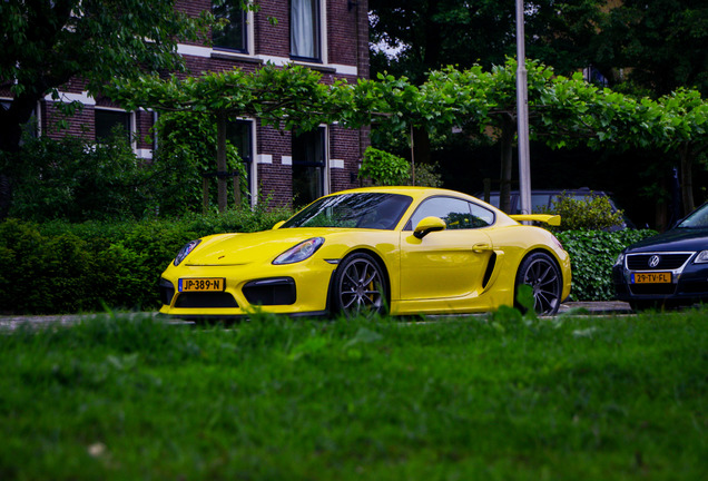 Porsche 981 Cayman GT4