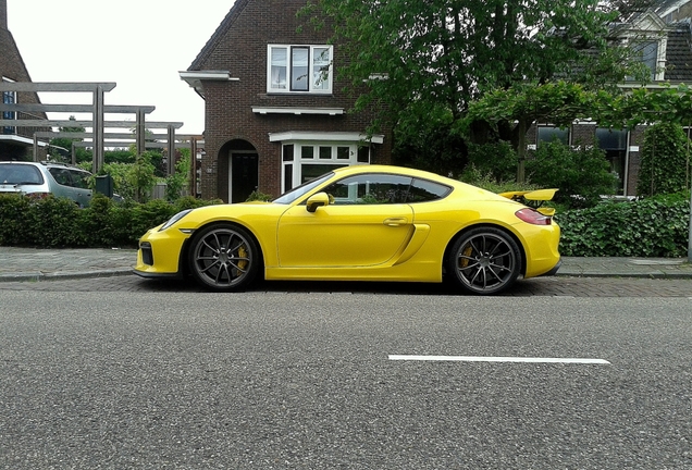 Porsche 981 Cayman GT4