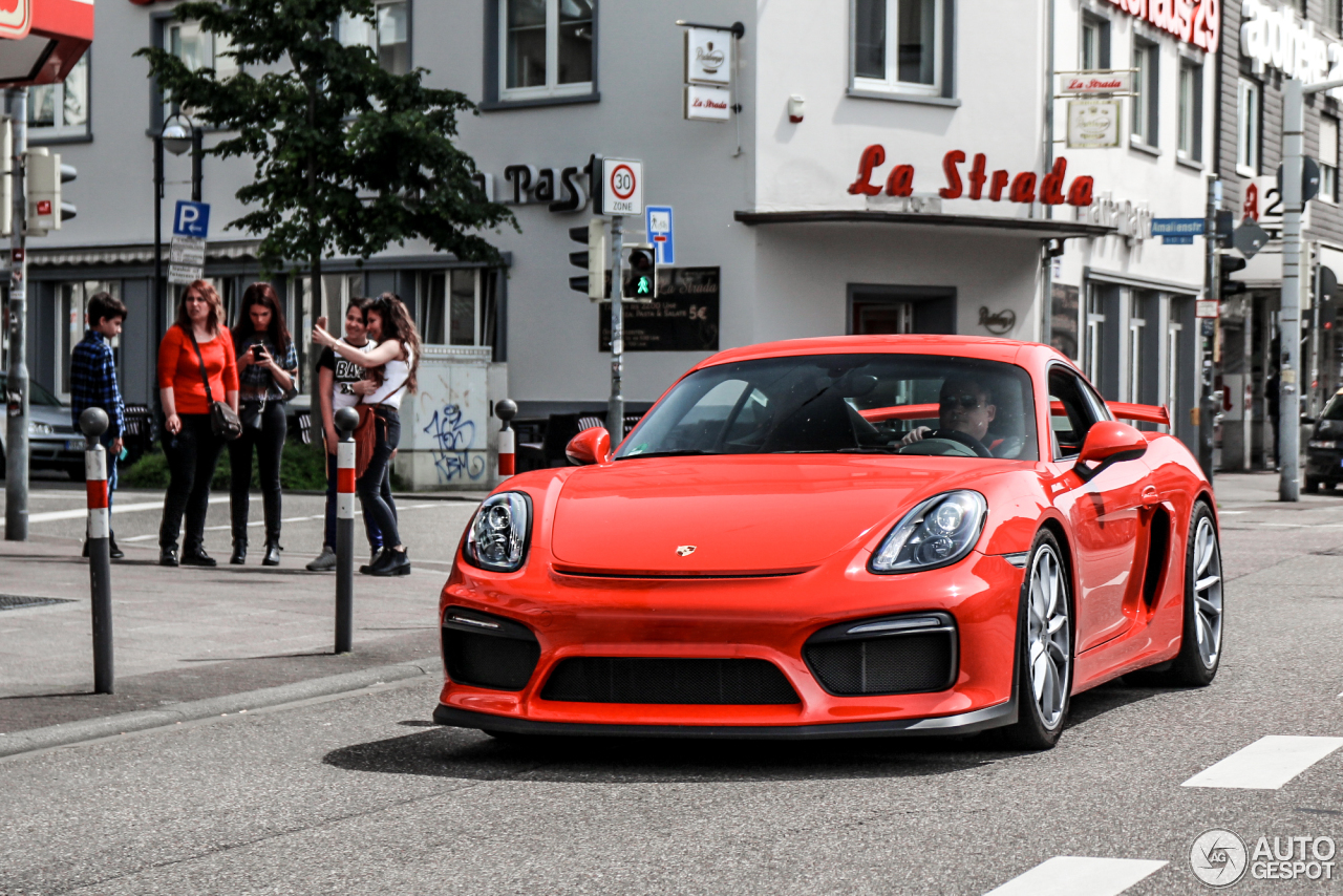 Porsche 981 Cayman GT4