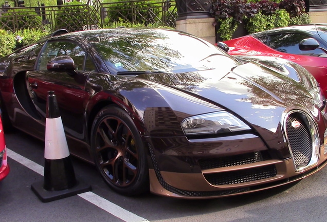 Bugatti Veyron 16.4 Grand Sport Vitesse Rembrandt Bugatti