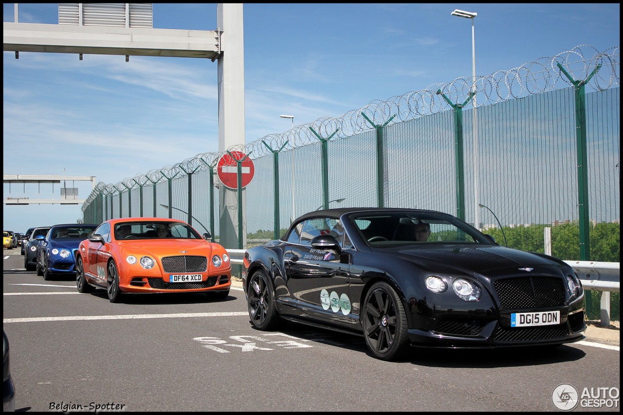 Bentley Continental GTC V8 S Concours Series