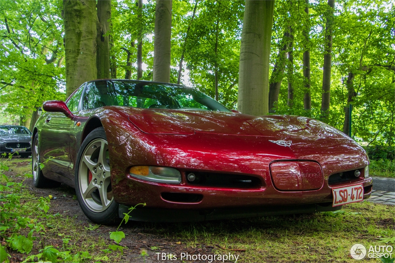 Chevrolet Corvette C5 50th Anniversary