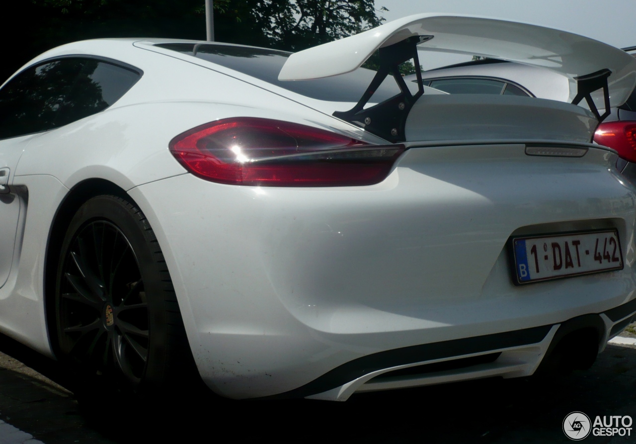 Porsche TechArt Cayman S 2013