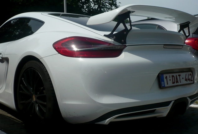 Porsche TechArt Cayman S 2013