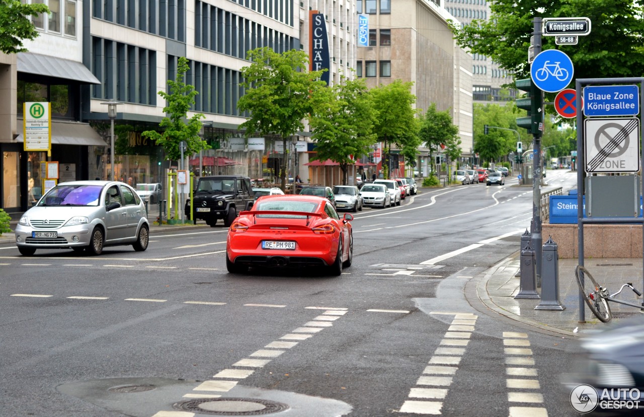 Porsche 981 Cayman GT4