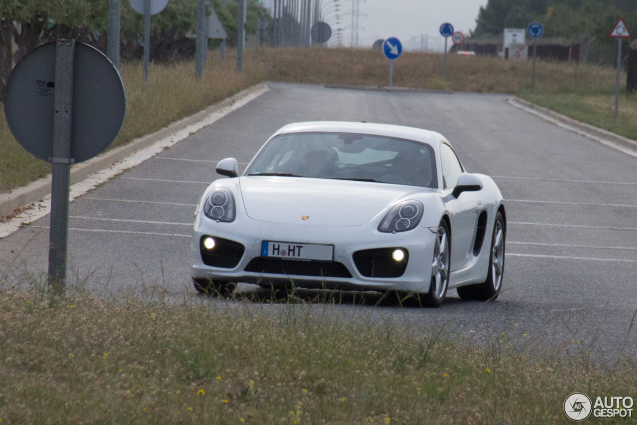 Porsche 981 Cayman S