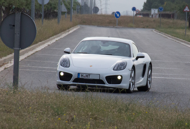 Porsche 981 Cayman S