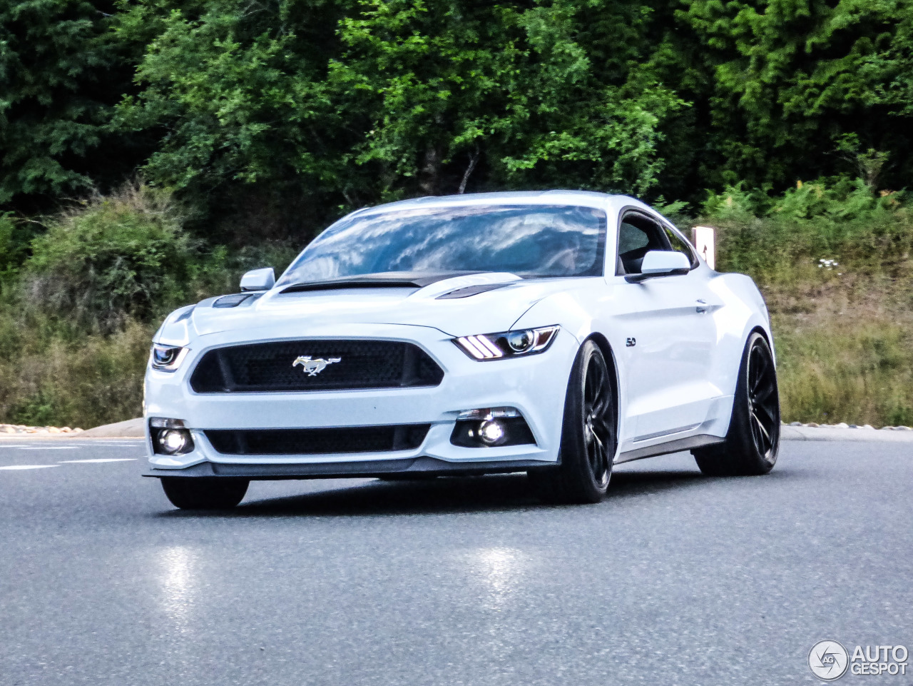 Ford Mustang GT 2015