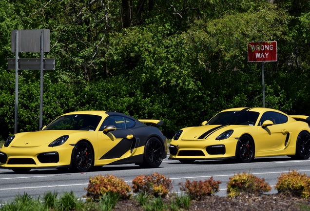 Porsche 981 Cayman GT4