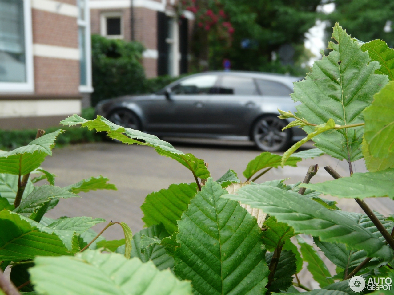 Audi RS6 Avant C7