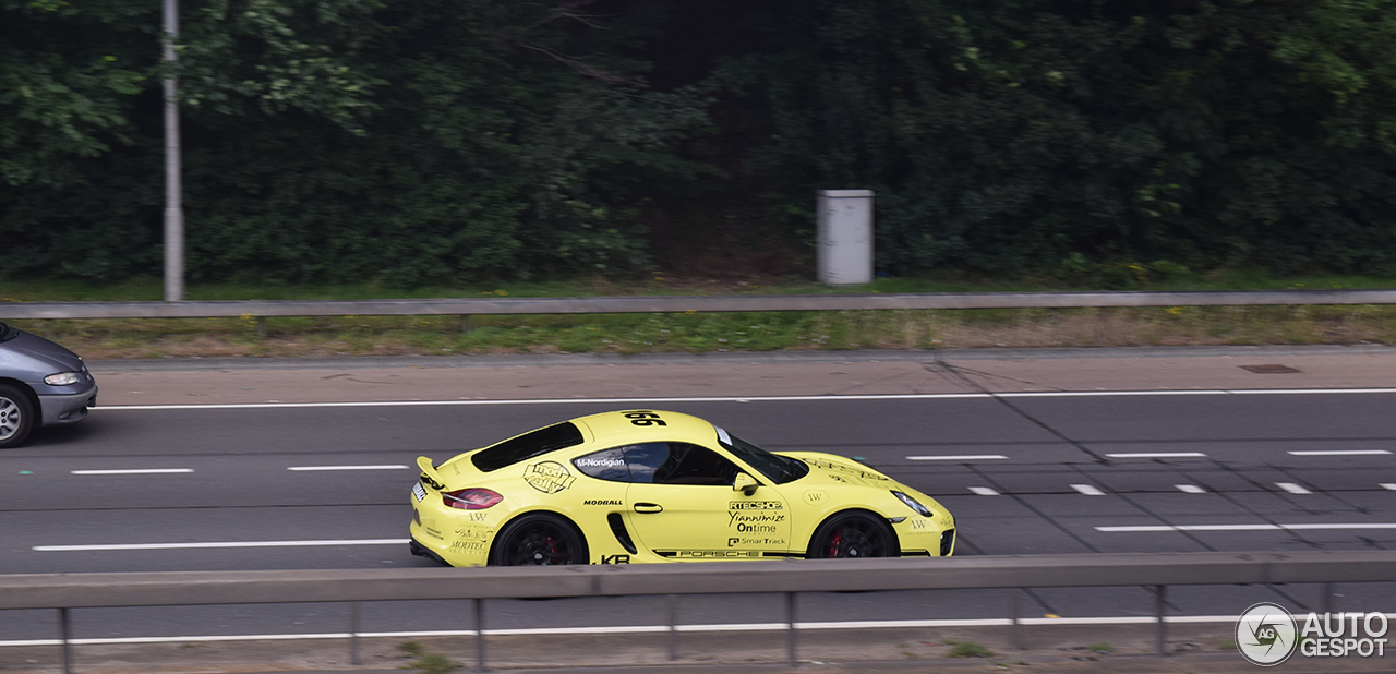 Porsche 981 Cayman S