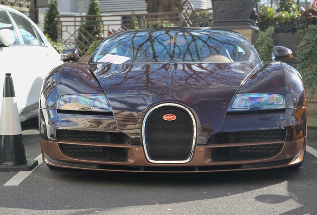 Bugatti Veyron 16.4 Grand Sport Vitesse Rembrandt Bugatti