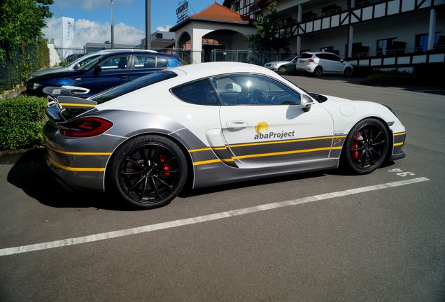 Porsche 981 Cayman GT4