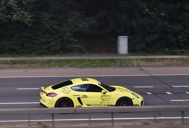 Porsche 981 Cayman S