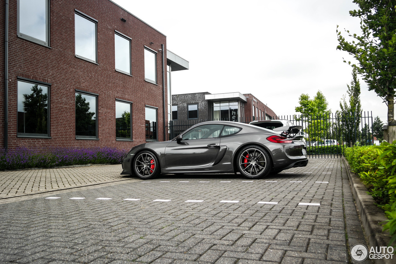 Porsche 981 Cayman GT4