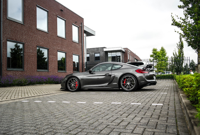 Porsche 981 Cayman GT4