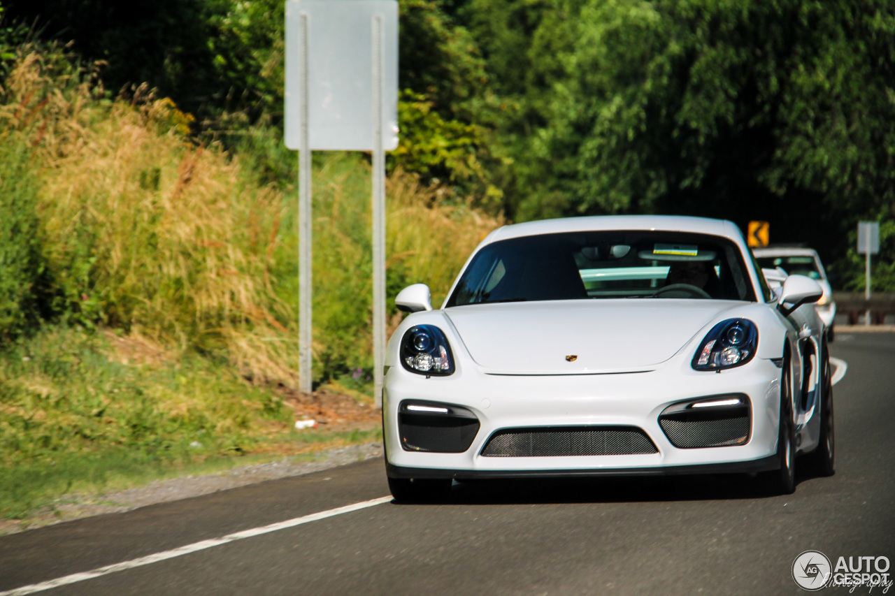 Porsche 981 Cayman GT4