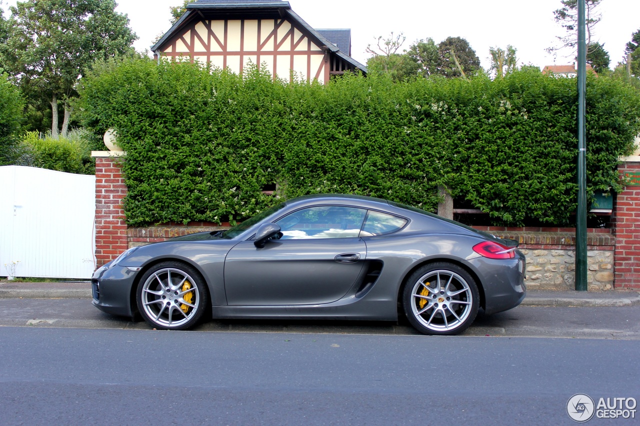 Porsche 981 Cayman S