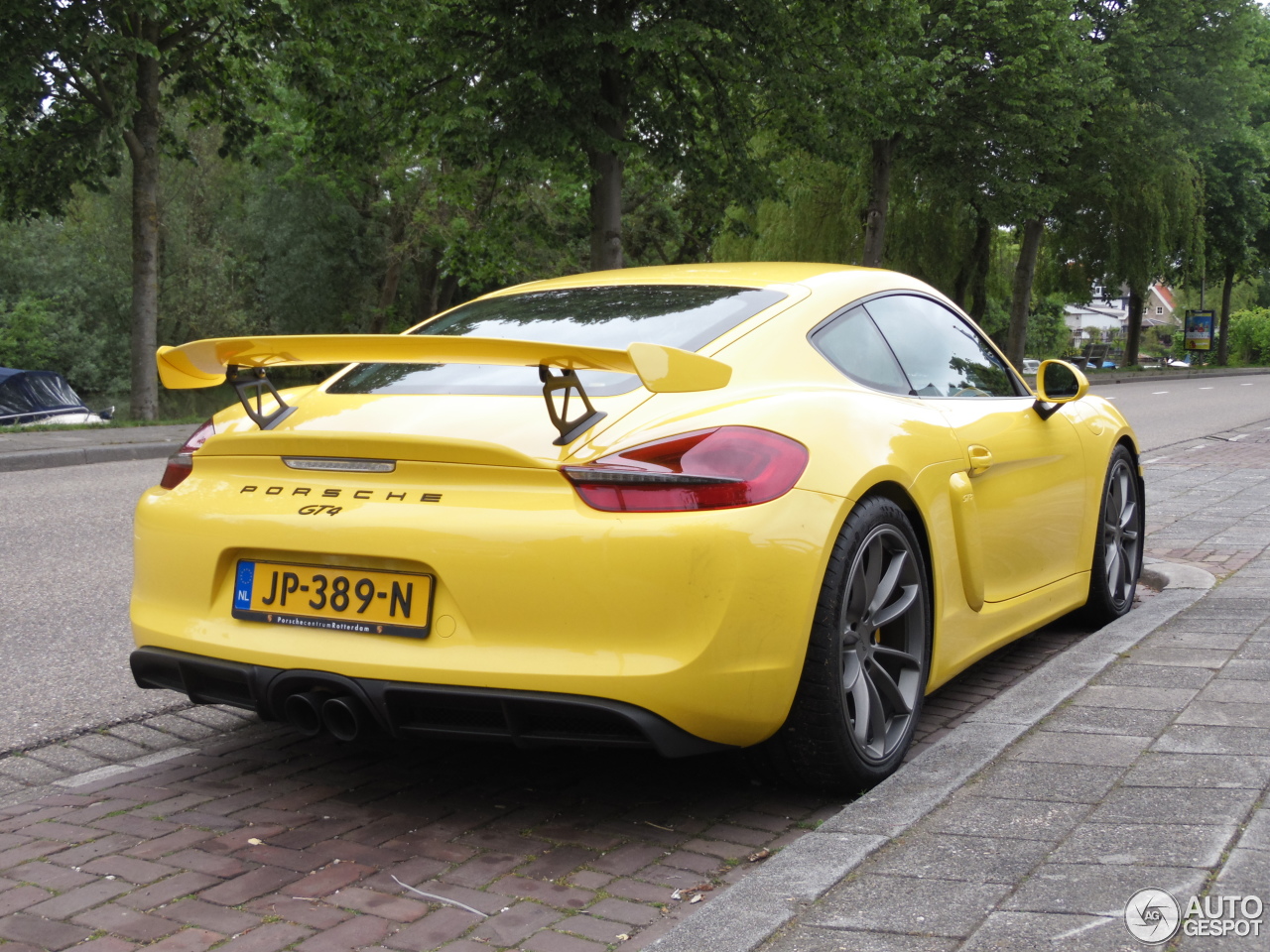 Porsche 981 Cayman GT4