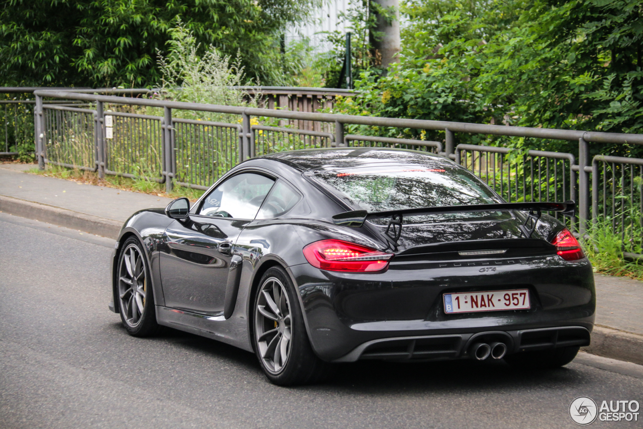 Porsche 981 Cayman GT4