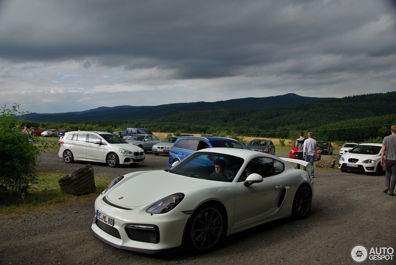 Porsche 981 Cayman GT4