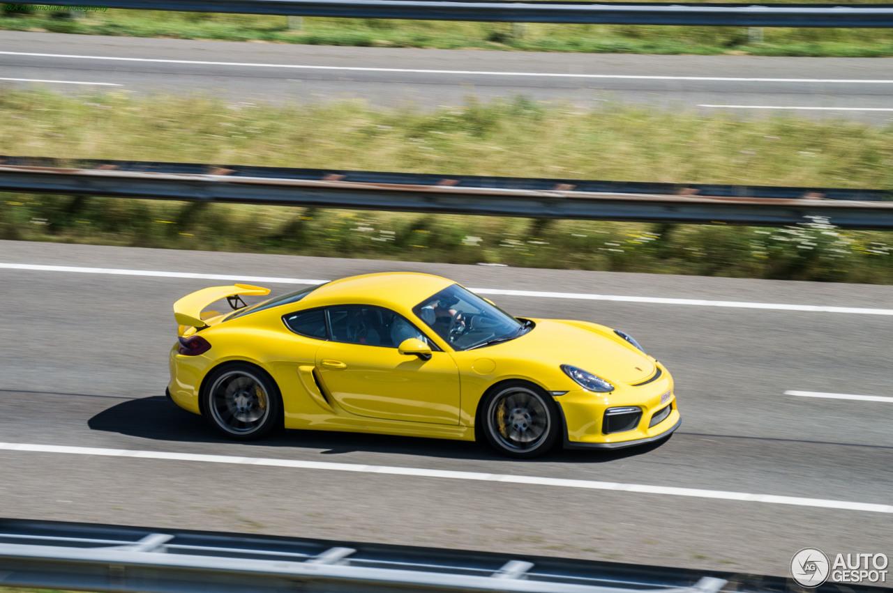 Porsche 981 Cayman GT4