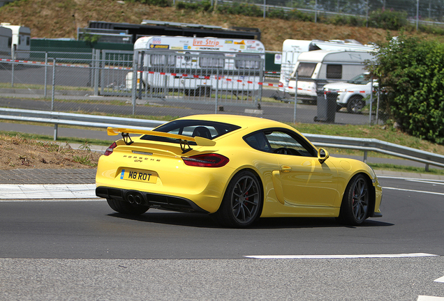 Porsche 981 Cayman GT4