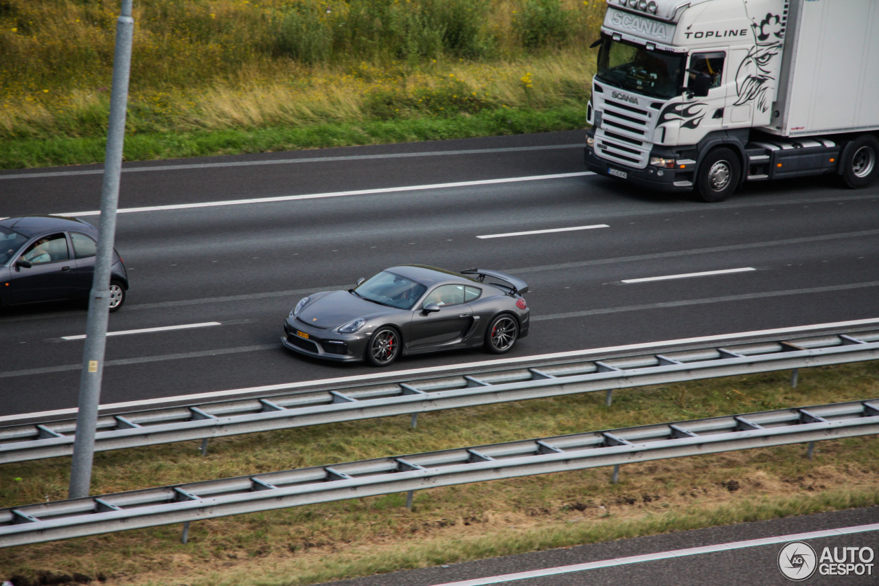 Porsche 981 Cayman GT4