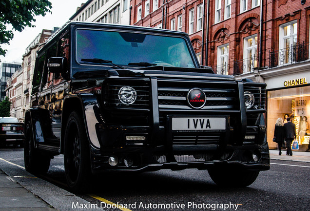 Mercedes-Benz Hamann Typhoon