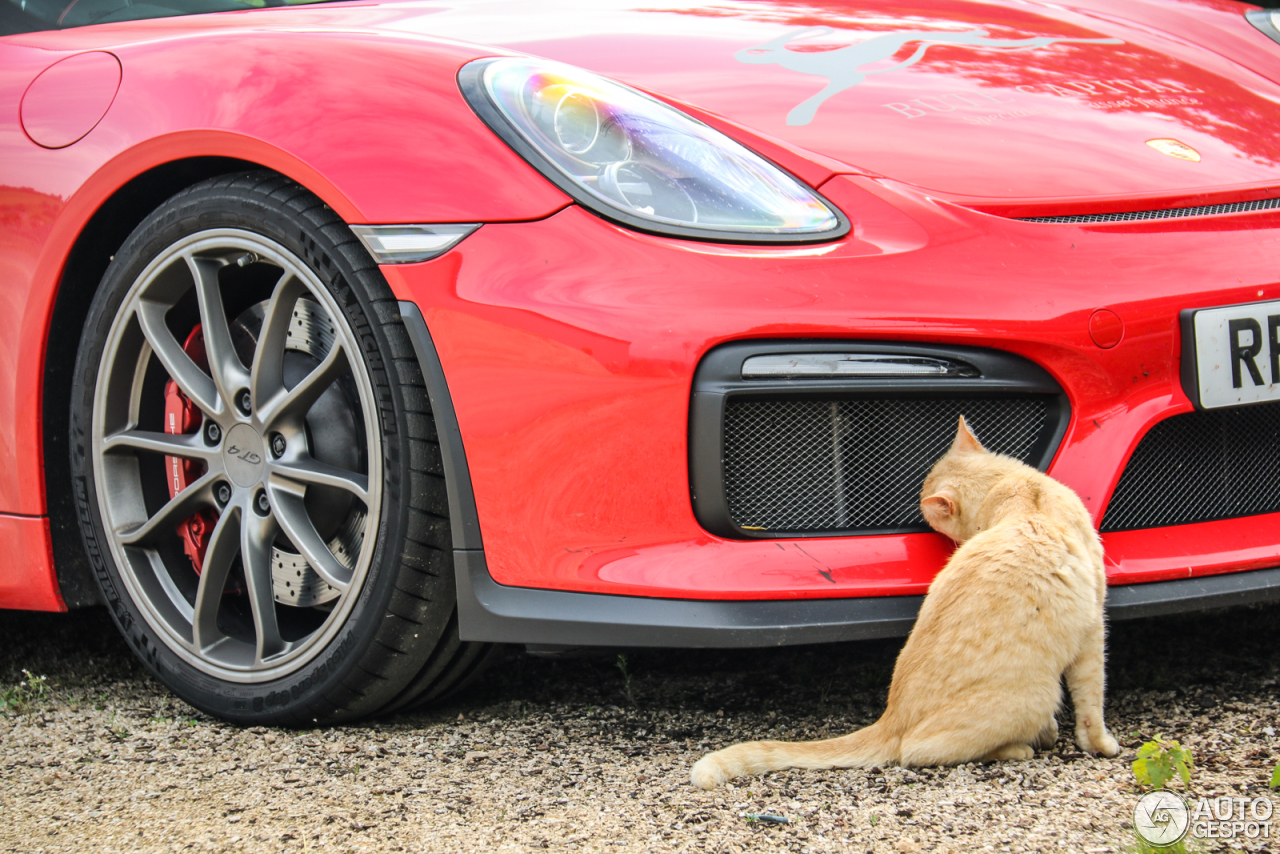 Porsche 981 Cayman GT4