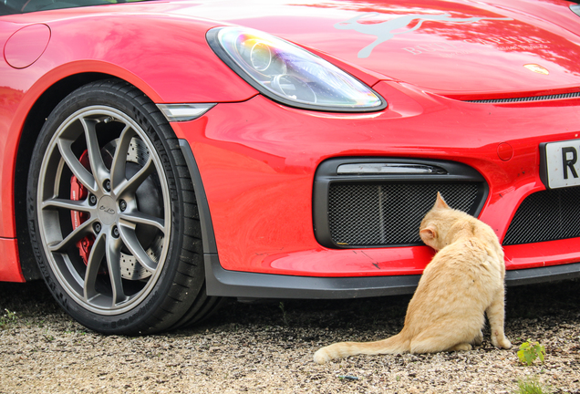 Porsche 981 Cayman GT4