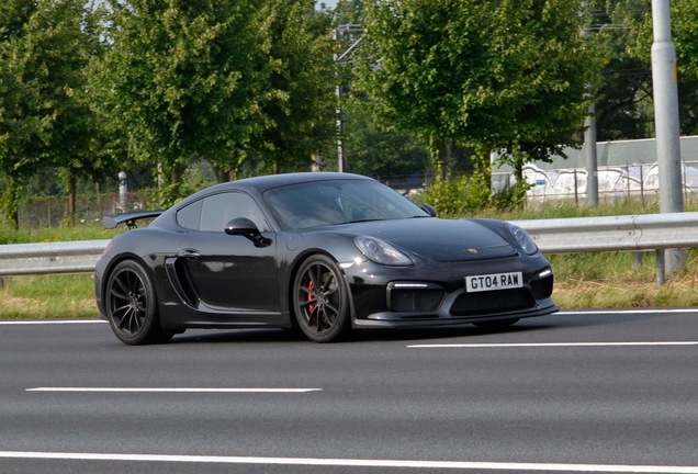 Porsche 981 Cayman GT4