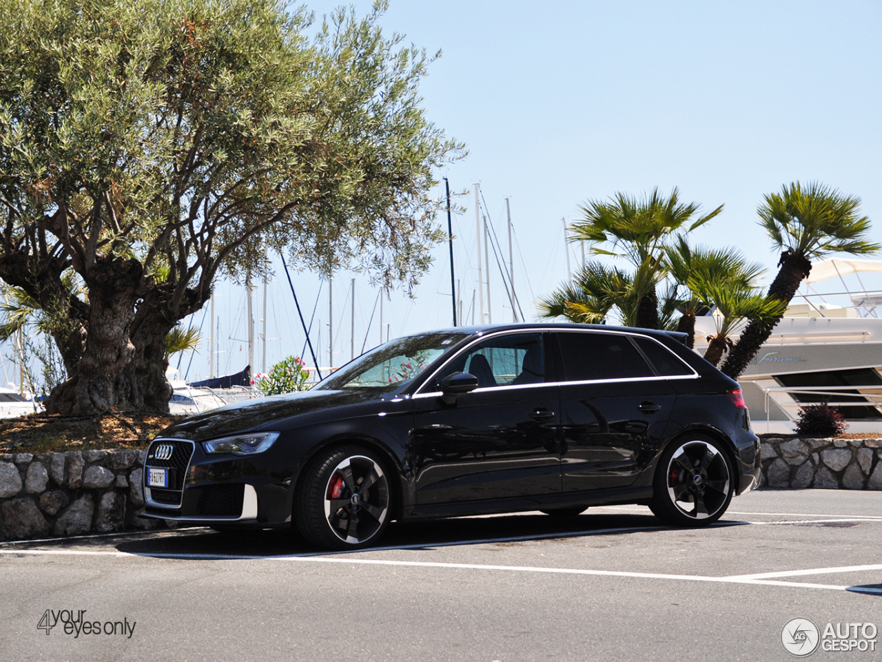 Audi RS3 Sportback 8V