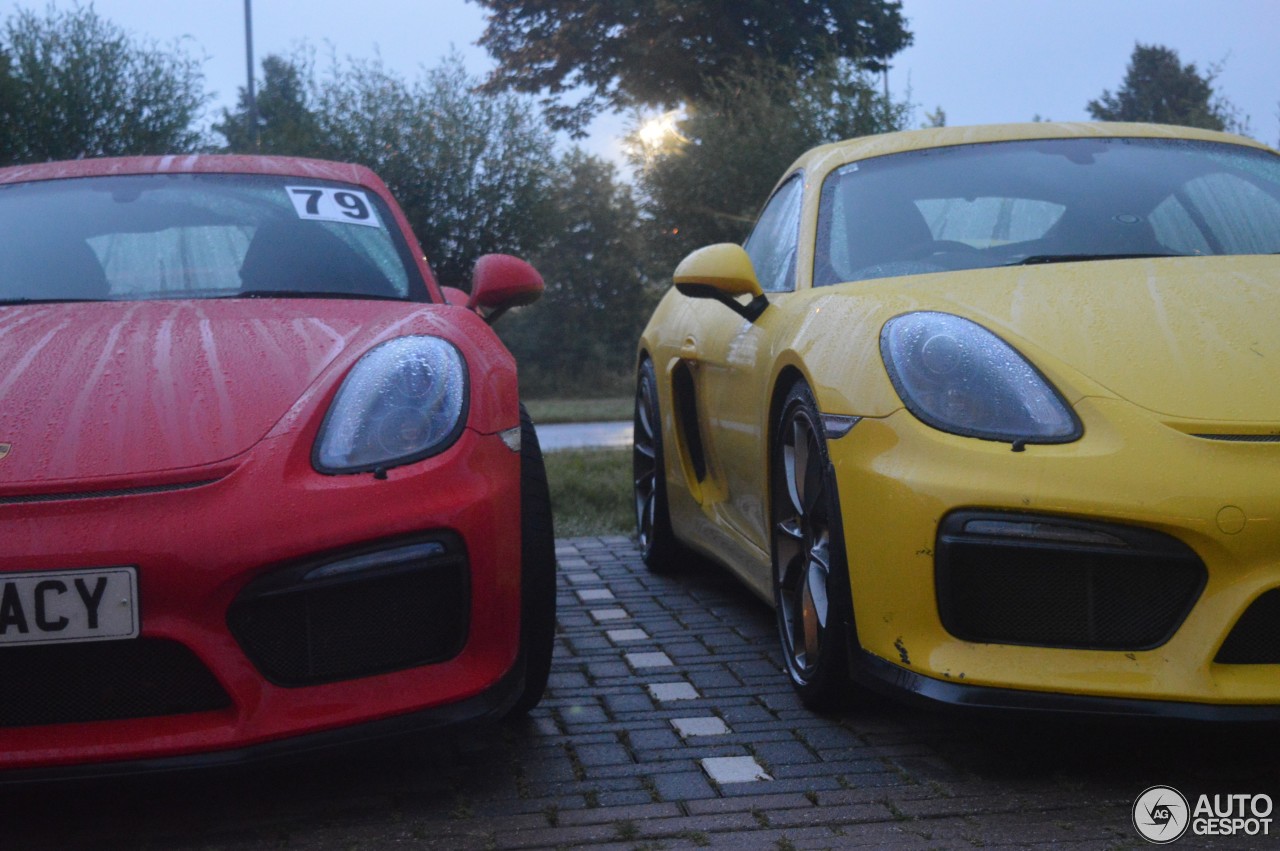 Porsche 981 Cayman GT4