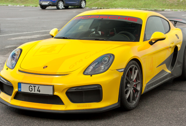 Porsche 981 Cayman GT4