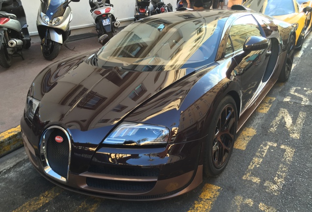 Bugatti Veyron 16.4 Grand Sport Vitesse Rembrandt Bugatti