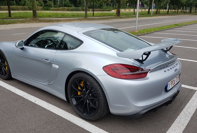 Porsche 981 Cayman GT4