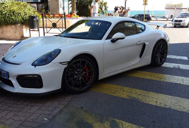 Porsche 981 Cayman GT4