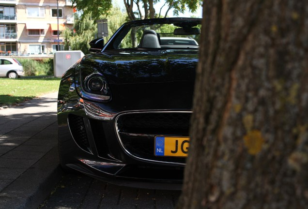 Jaguar F-TYPE S Convertible