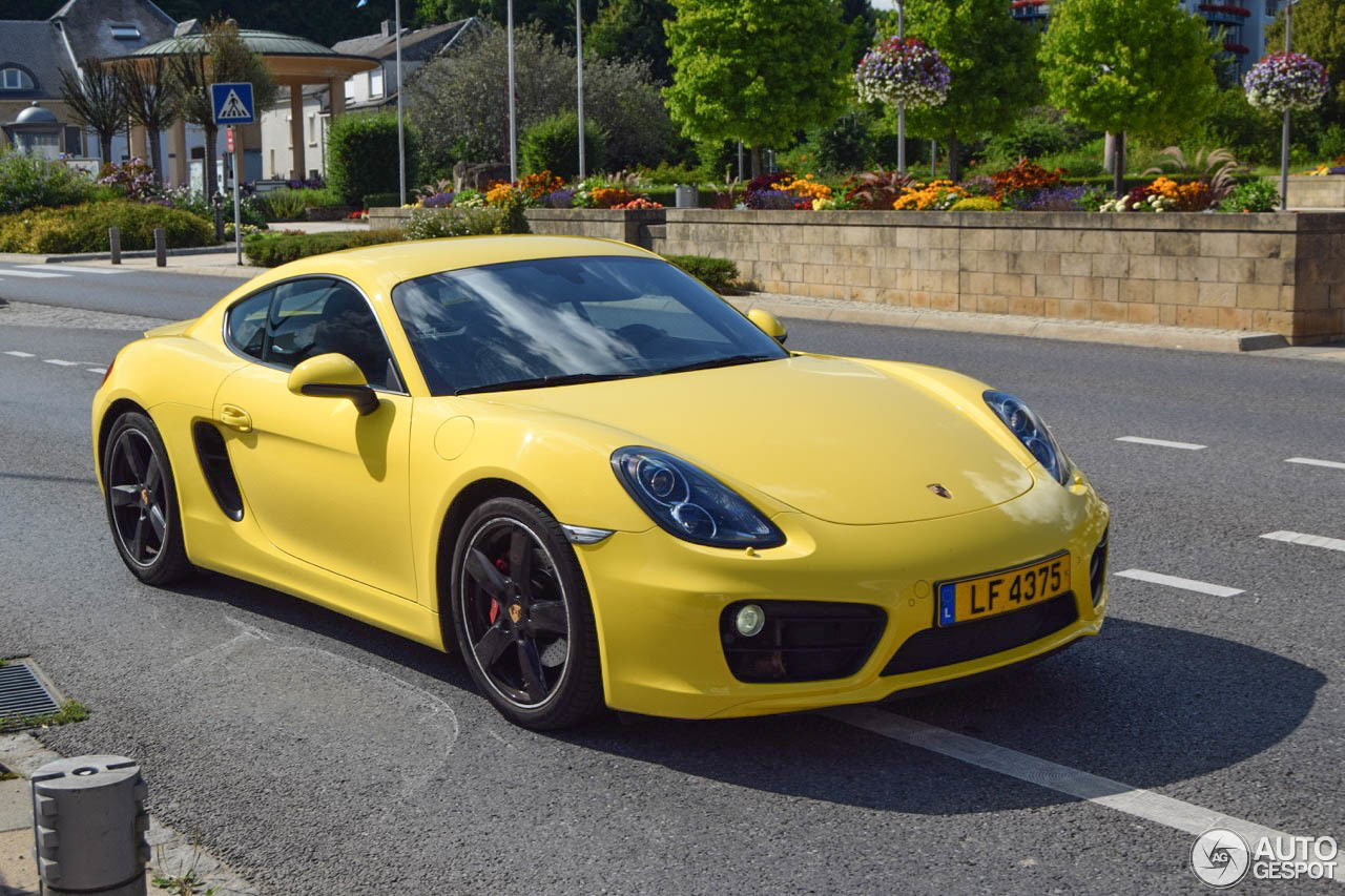 Porsche 981 Cayman S