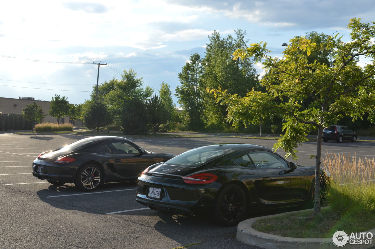 Porsche 981 Cayman S