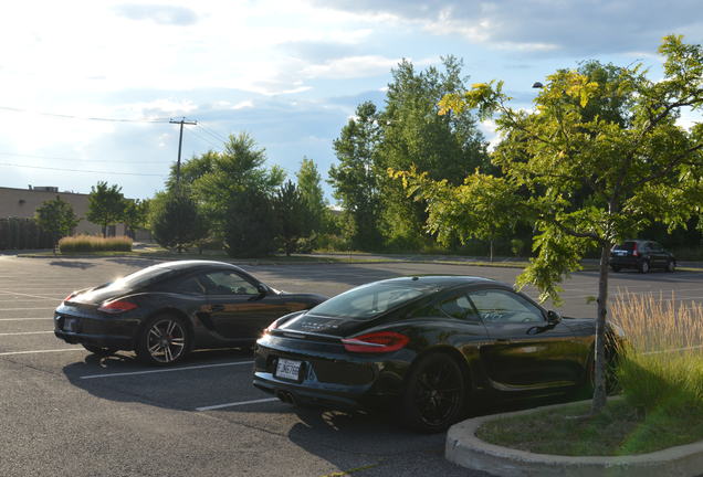 Porsche 981 Cayman S