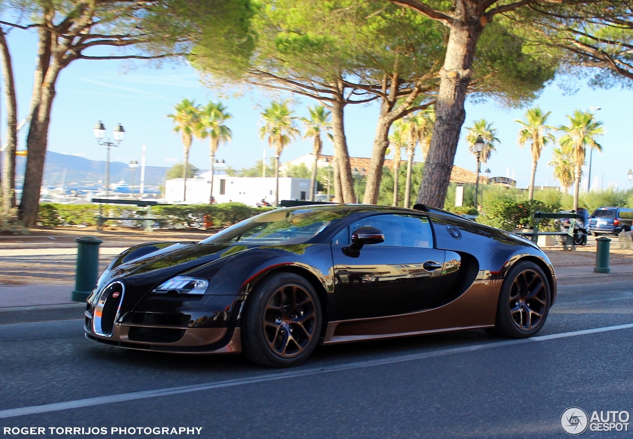 Bugatti Veyron 16.4 Grand Sport Vitesse Rembrandt Bugatti