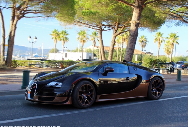 Bugatti Veyron 16.4 Grand Sport Vitesse Rembrandt Bugatti