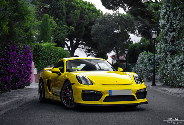 Porsche 981 Cayman GT4